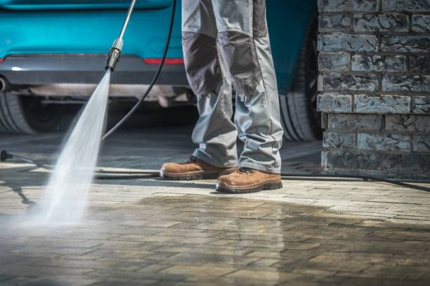 Best Soft Washing  in Orono, MN