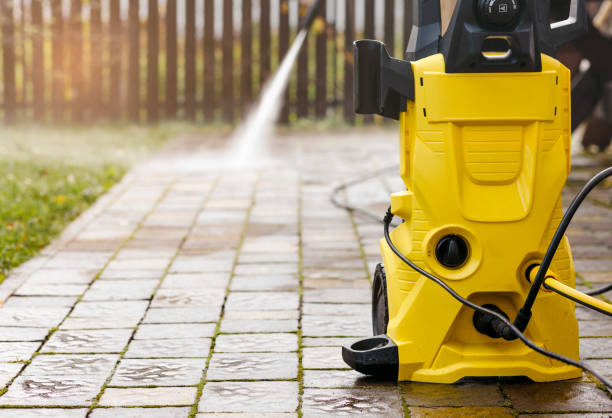 Best Roof Washing  in Orono, MN