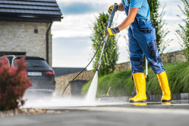 Best Fence Cleaning  in Orono, MN